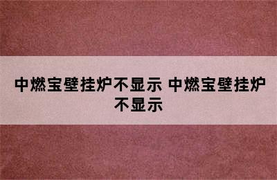 中燃宝壁挂炉不显示 中燃宝壁挂炉不显示